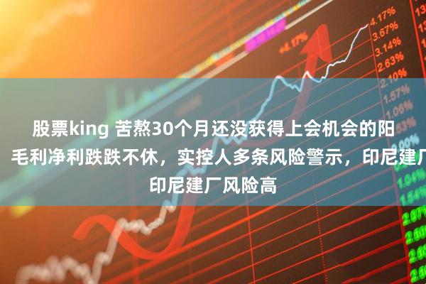 股票king 苦熬30个月还没获得上会机会的阳光焦化：毛利净利跌跌不休，实控人多条风险警示，印尼建厂风险高